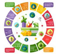 Vitamins and Minerals in Our Food