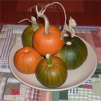 pumpkins_on_table11062011.png