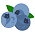 Bush Fruit